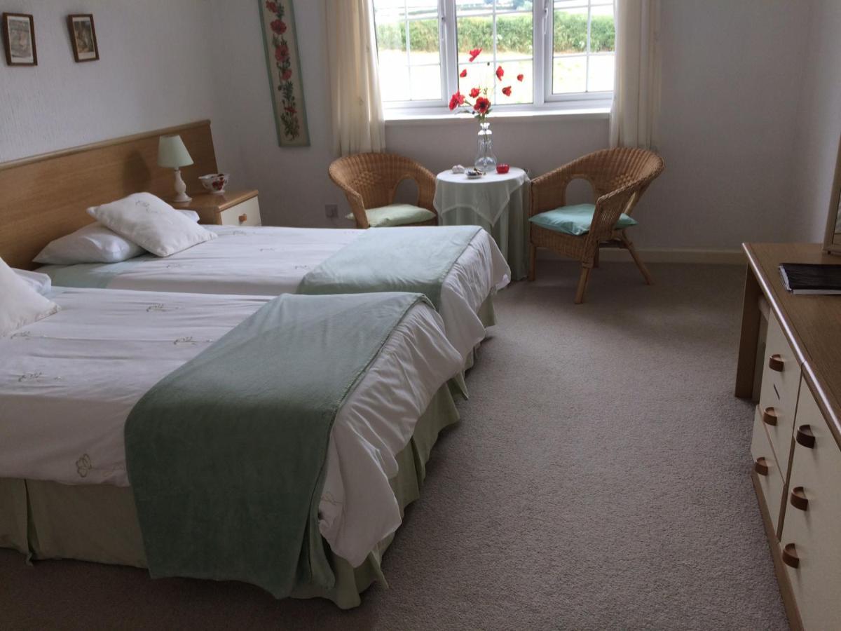 The Grange Accommodation, Waye Farm, Ermington, Devon Holbeton Eksteriør billede