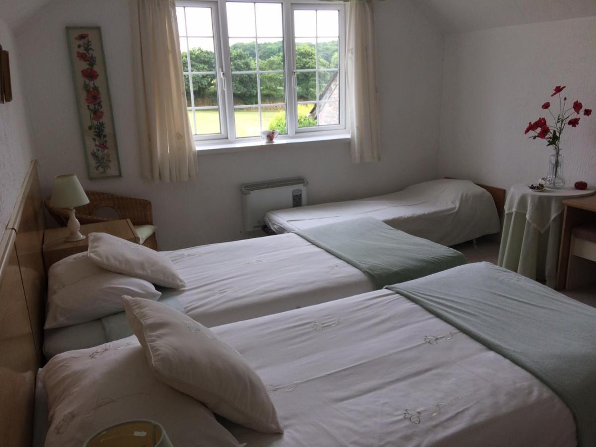 The Grange Accommodation, Waye Farm, Ermington, Devon Holbeton Eksteriør billede